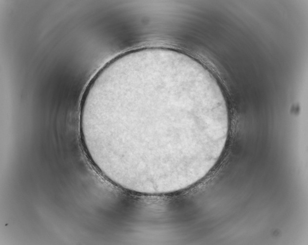 X0000093510836200710261155