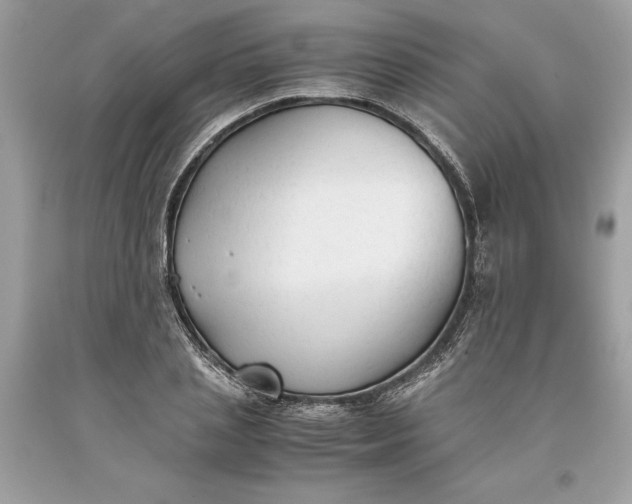 X0000093510837200710261155
