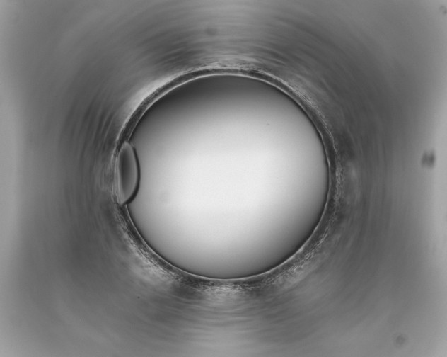 X0000093510838200710261155