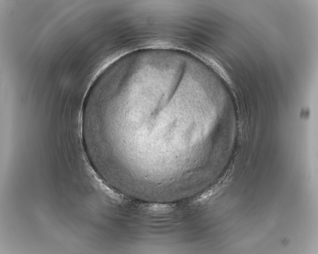 X0000093510839200710261155