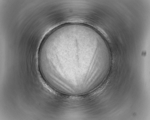 X0000093510840200710261155