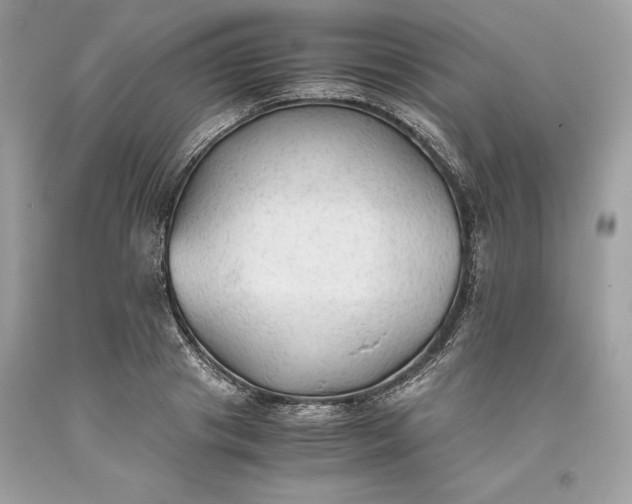 X0000093510841200710261155
