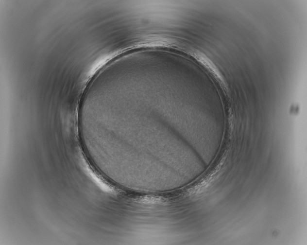 X0000093510842200710261155