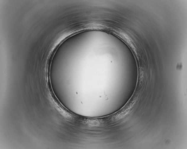 X0000093510843200710261155