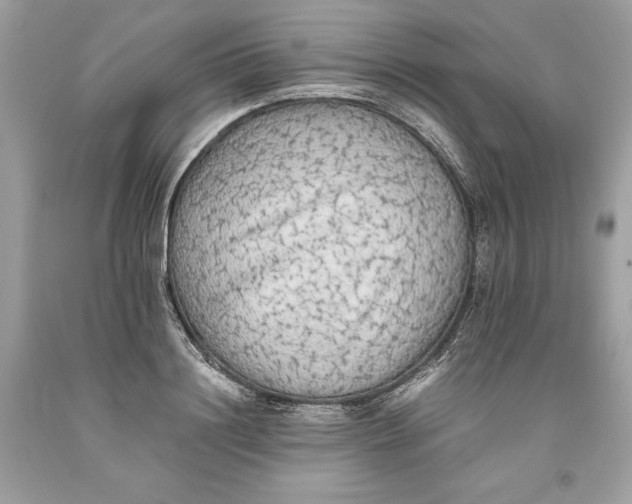 X0000093510844200710261155