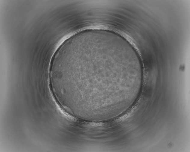 X0000093510845200710261155