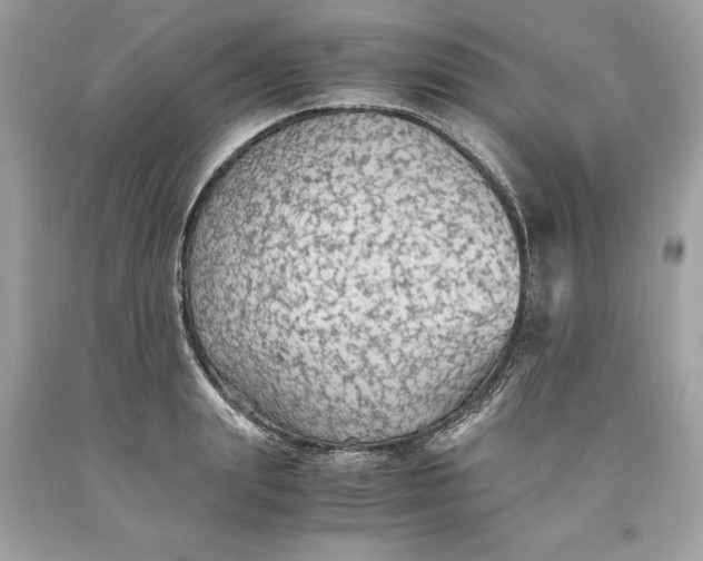 X0000093510847200710261156
