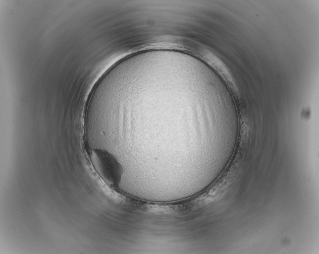 X0000093510852200710261156