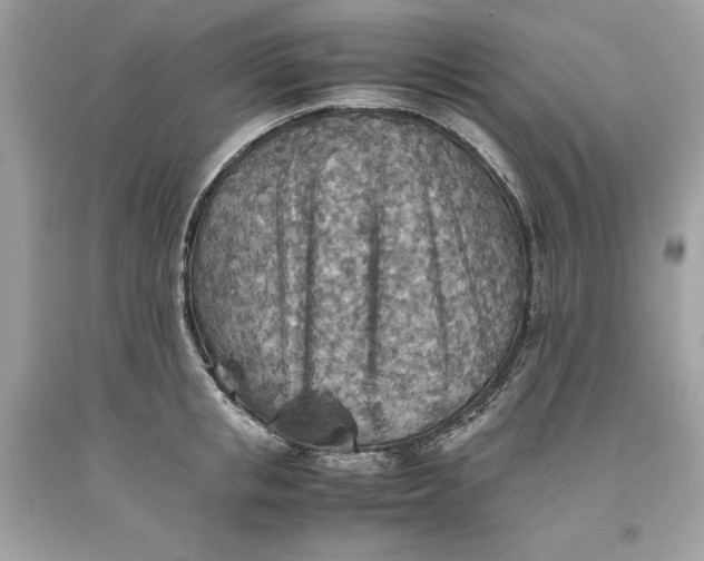 X0000093510853200710261156
