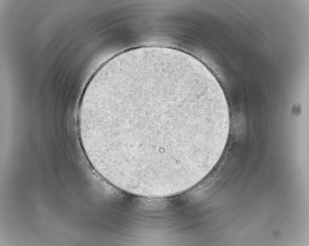 X0000093510856200710261156