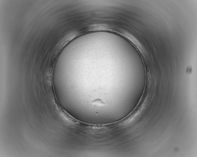 X0000093510857200710261156