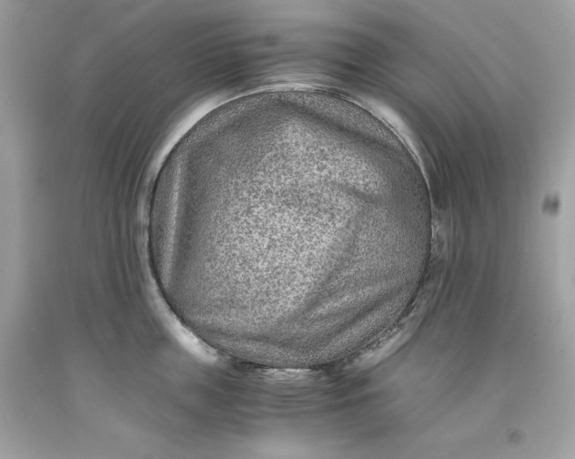 X0000093510859200710261156