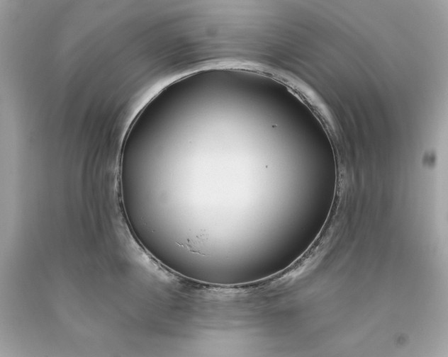 X0000093510860200710261156