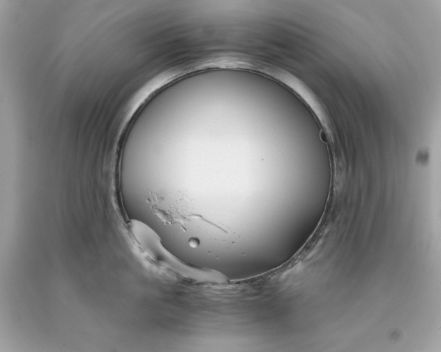 X0000093510861200710261156