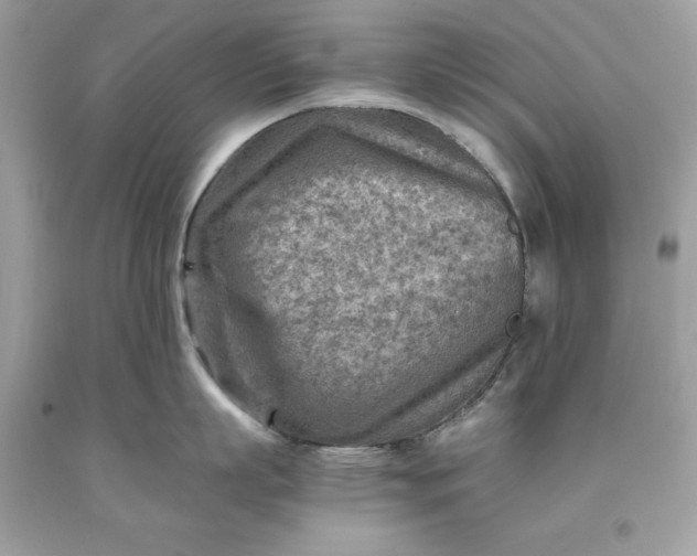 X0000093510863200710261156