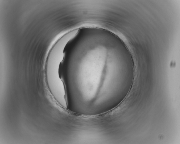 X0000093510864200710261156