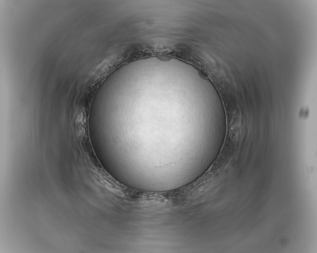 X0000093510866200710261155
