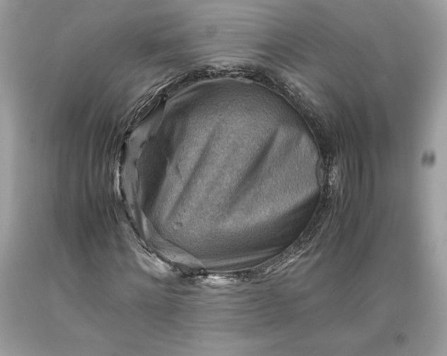 X0000093510868200710261155