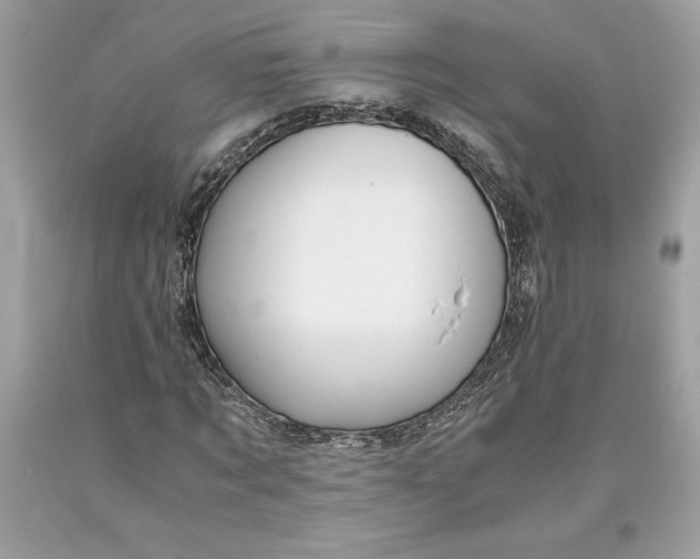 X0000093510869200710261155