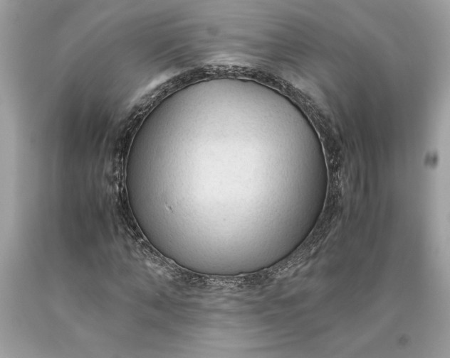 X0000093510870200710261155