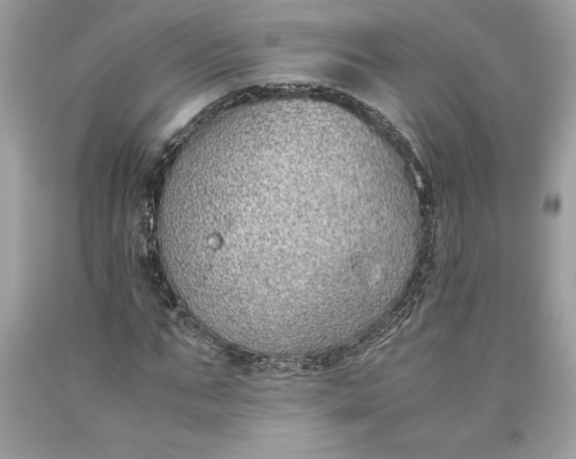 X0000093510871200710261155