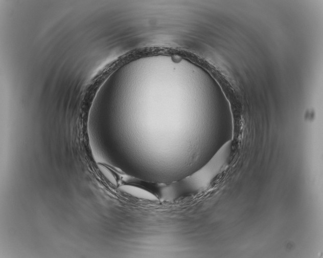 X0000093510872200710261155
