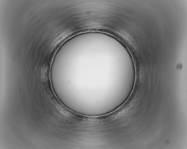 X0000093510873200710261155