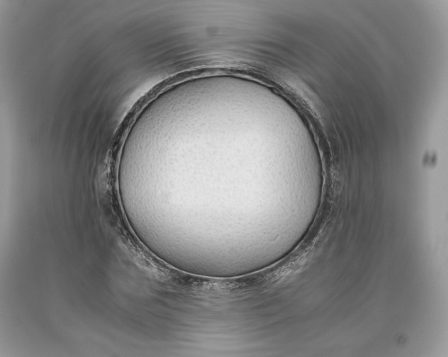 X0000093510875200710261155