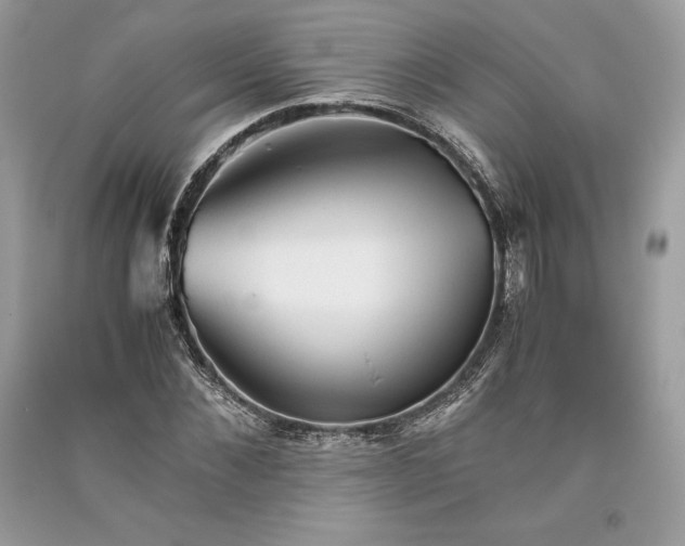 X0000093510876200710261155