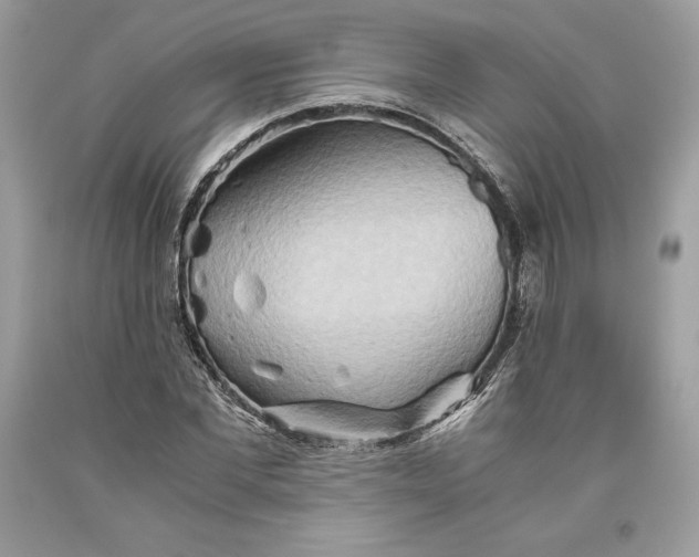 X0000093510877200710261155