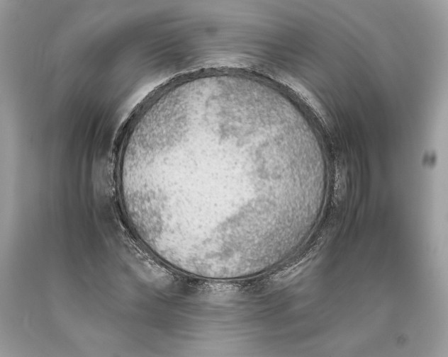 X0000093510878200710261155