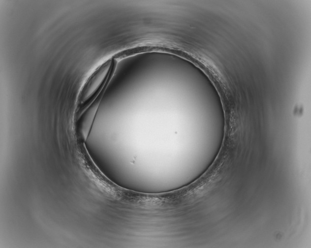 X0000093510880200710261155
