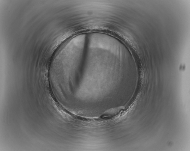 X0000093510881200710261155