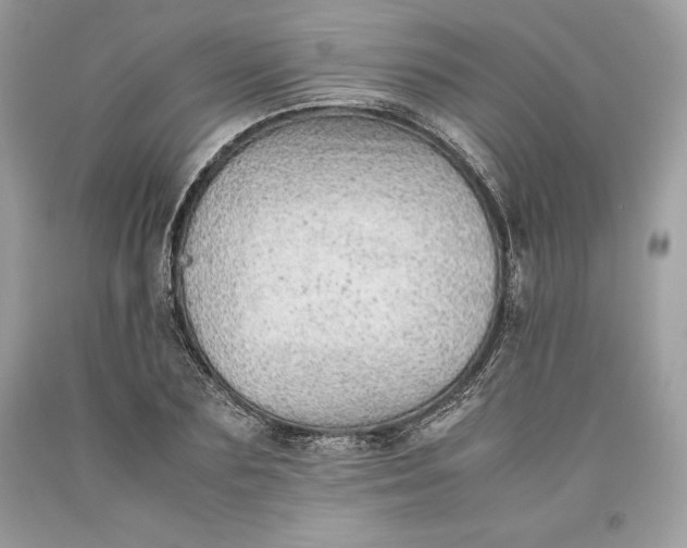 X0000093510883200710261155