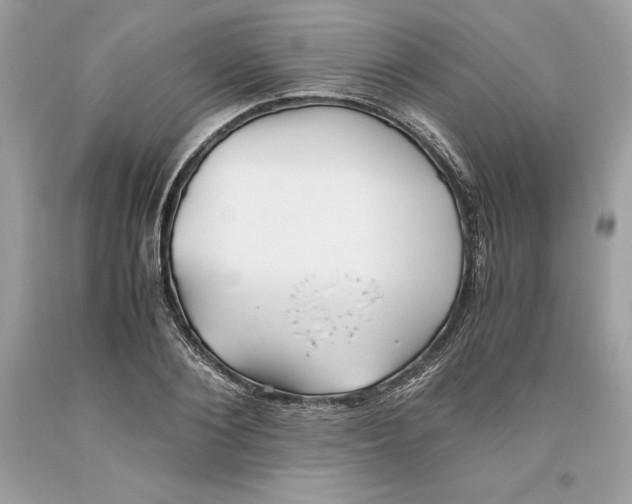 X0000093510884200710261155