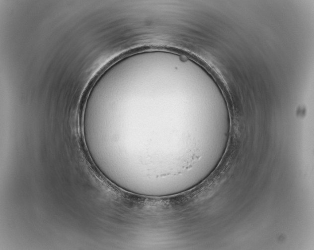 X0000093510887200710261155