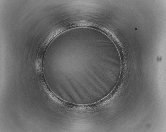 X0000093510889200710261155