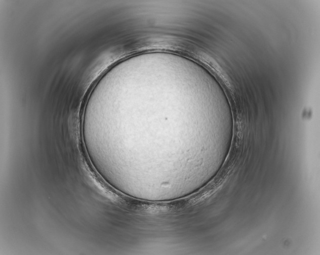 X0000093510890200710261155