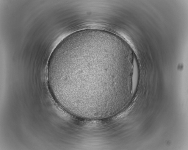 X0000093510891200710261155