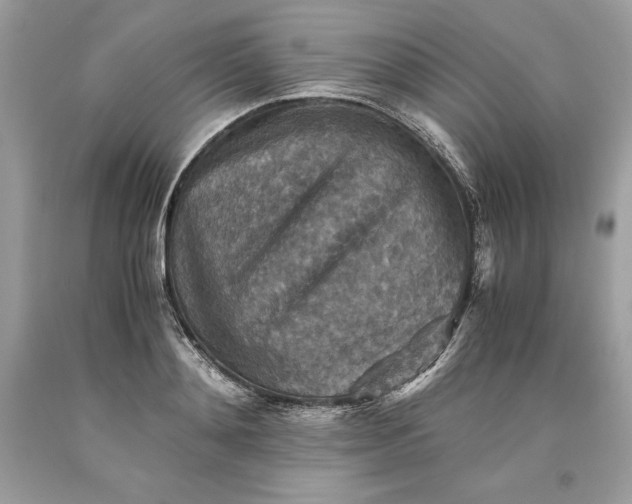 X0000093510892200710261155