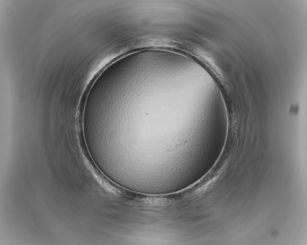 X0000093510893200710261155