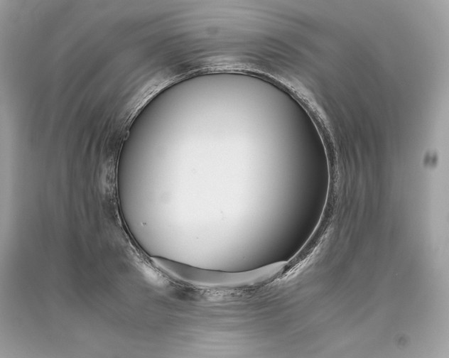 X0000093510897200710261154