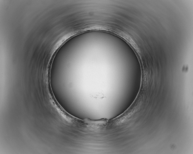 X0000093510898200710261154