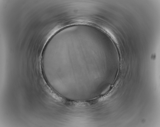 X0000093510899200710261154