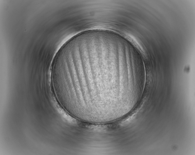 X0000093510900200710261154