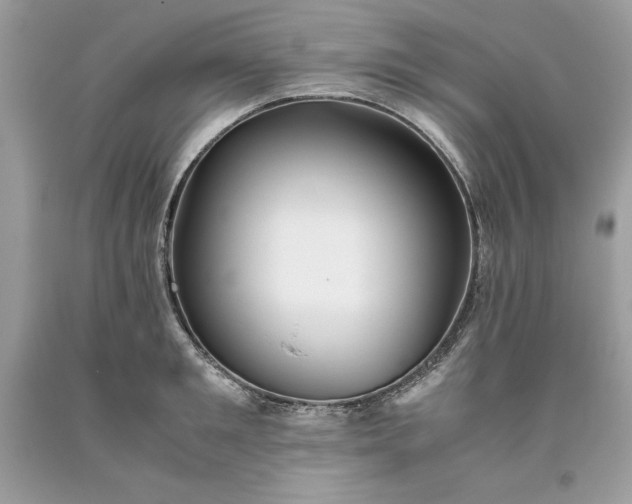 X0000093510901200710261154