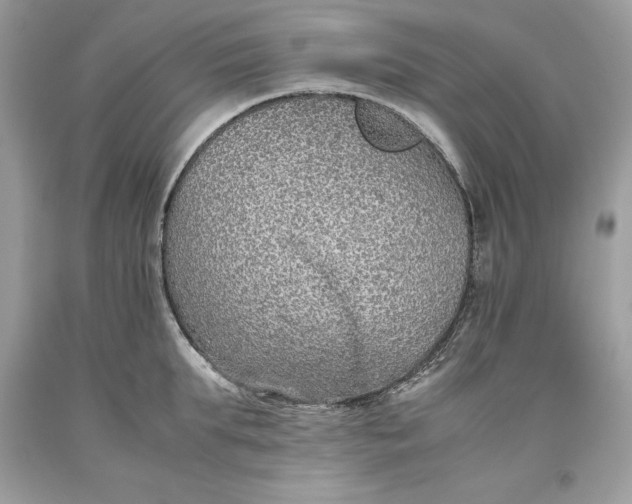 X0000093510903200710261154