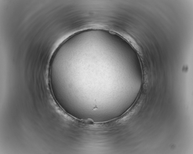 X0000093510904200710261154