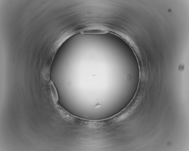 X0000093510905200710261154