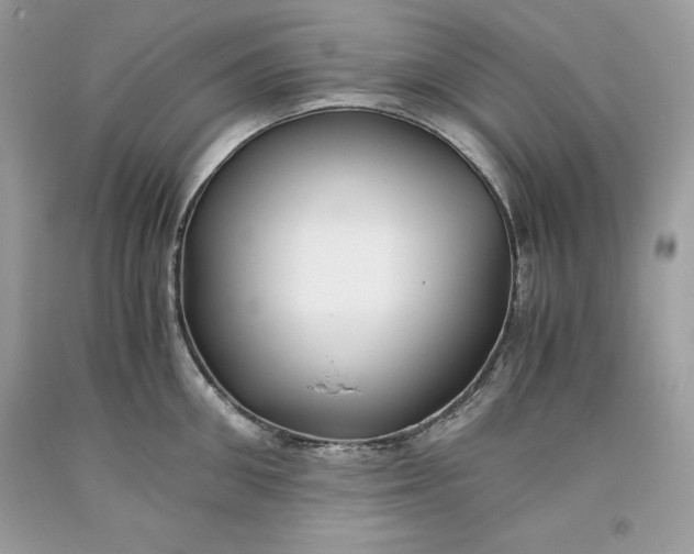 X0000093510906200710261154